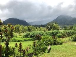 Kauai Jurassic Park Mountains